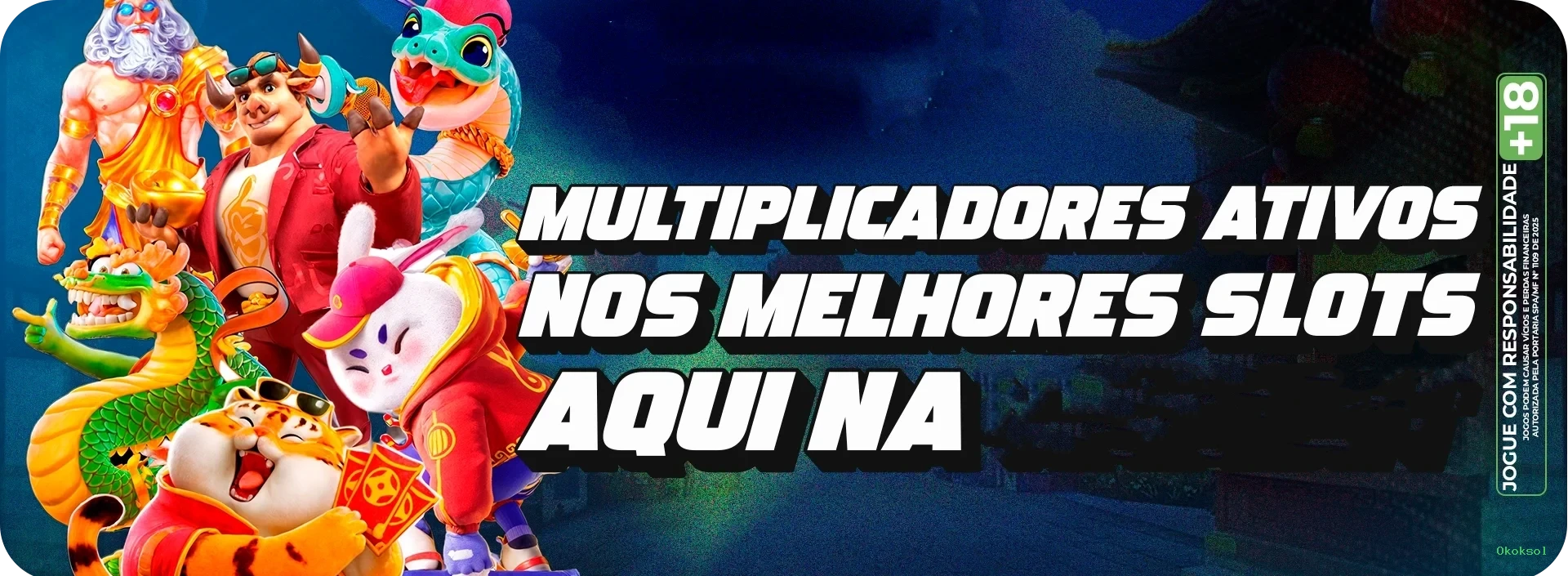 Programa VIP Okoksol